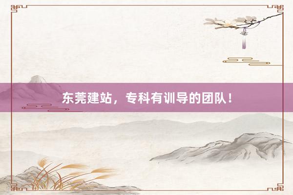 东莞建站，专科有训导的团队！